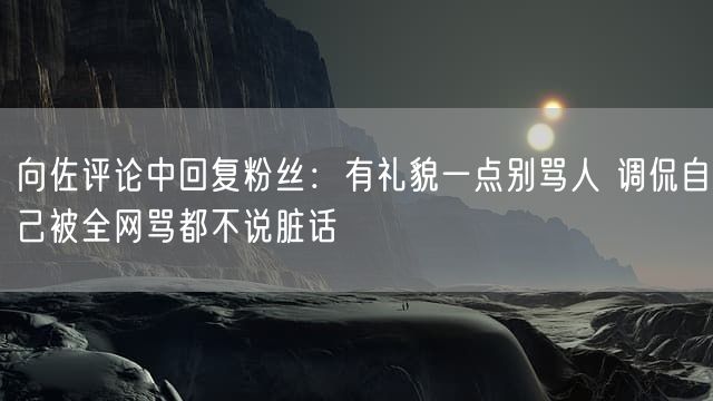 向佐评论中回复粉丝：有礼貌一点别骂人 调侃自己被全网骂都不说脏话