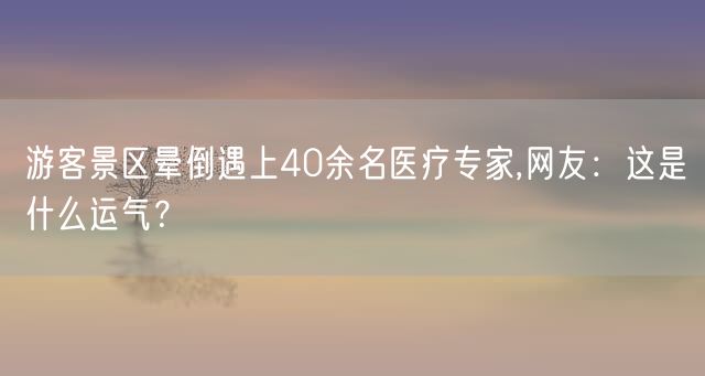 游客景区晕倒遇上40余名医疗专家,网友：这是什么运气？