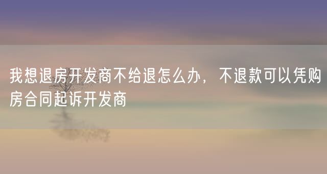 我想退房开发商不给退怎么办，不退款可以凭购房合同起诉开发商