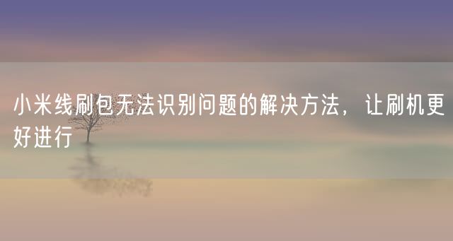 小米线刷包无法识别问题的解决方法，让刷机更好进行