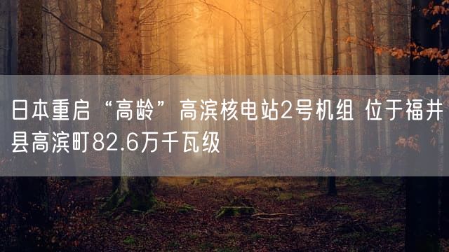 日本重启“高龄”高滨核电站2号机组 位于福井县高滨町82.6万千瓦级