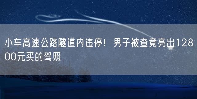 小车高速公路隧道内违停！男子被查竟亮出12800元买的驾照