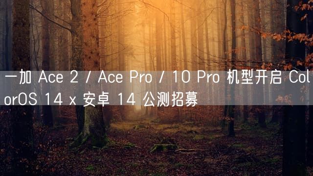 一加 Ace 2 / Ace Pro / 10 Pro 机型开启 ColorOS 14 x 安卓 14 公测招募