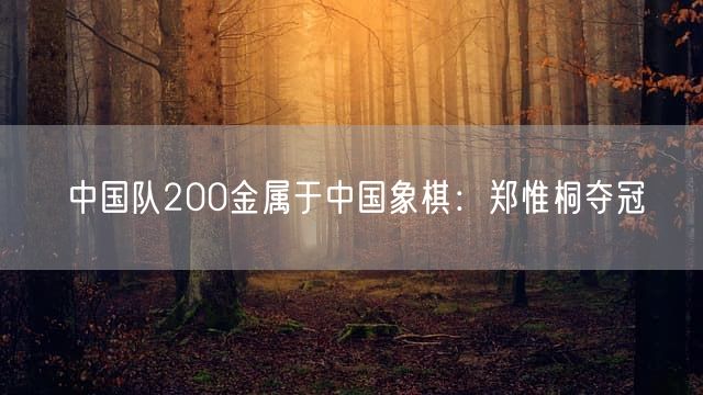 中国队200金属于中国象棋：郑惟桐夺冠