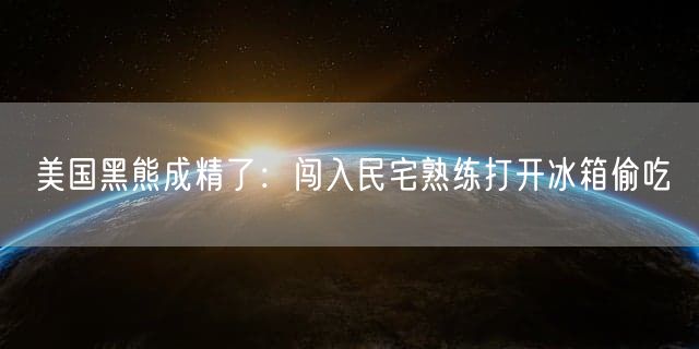 美国黑熊成精了：闯入民宅熟练打开冰箱偷吃