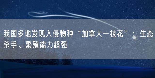 我国多地发现入侵物种“加拿大一枝花”：生态杀手、繁殖能力超强