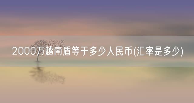 2000万越南盾等于多少人民币(汇率是多少)