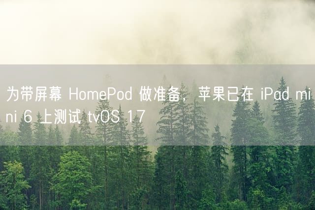 为带屏幕 HomePod 做准备，苹果已在 iPad mini 6 上测试 tvOS 17