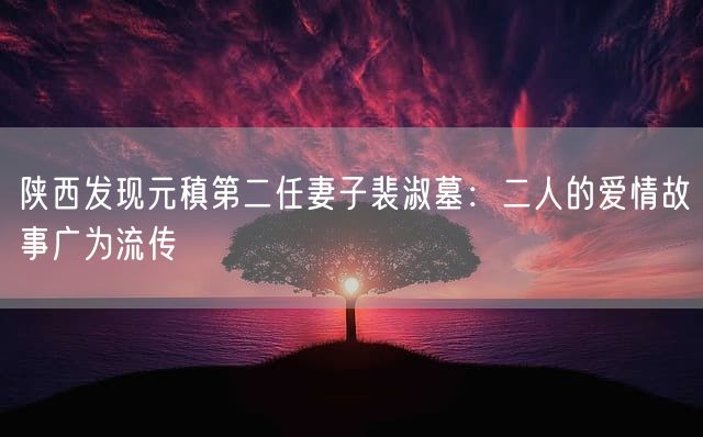 陕西发现元稹第二任妻子裴淑墓：二人的爱情故事广为流传