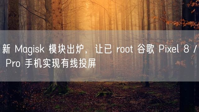 新 Magisk 模块出炉，让已 root 谷歌 Pixel 8 / Pro 手机实现有线投屏