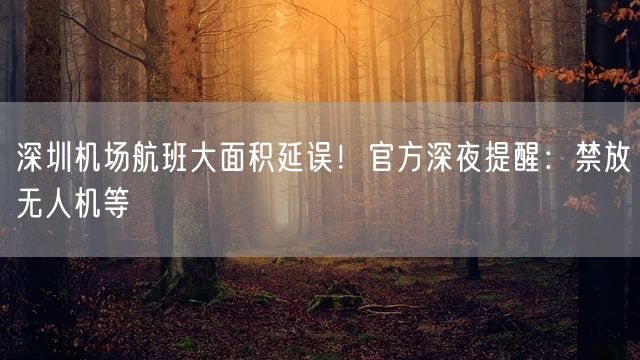 深圳机场航班大面积延误！官方深夜提醒：禁放无人机等