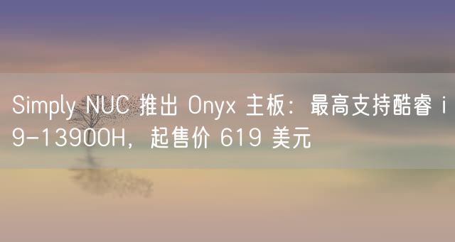 Simply NUC 推出 Onyx 主板：最高支持酷睿 i9-13900H，起售价 619 美元