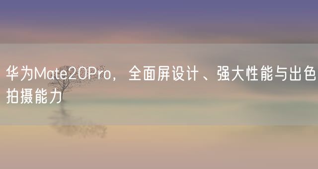 华为Mate20Pro，全面屏设计、强大性能与出色拍摄能力