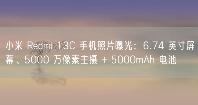 小米 Redmi 13C 手机照片曝光：6.74 英寸屏幕、5000 万像素主摄 + 5000mAh 电池