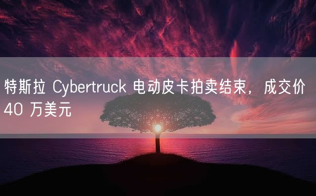 特斯拉 Cybertruck 电动皮卡拍卖结束，成交价 40 万美元