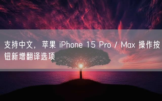 支持中文，苹果 iPhone 15 Pro / Max 操作按钮新增翻译选项