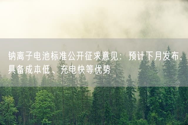 钠离子电池标准公开征求意见：预计下月发布，具备成本低、充电快等优势