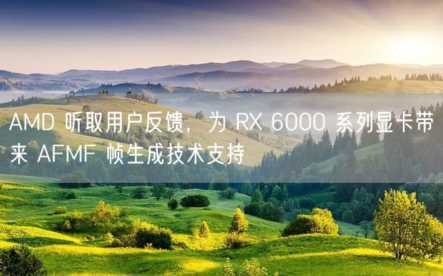 AMD 听取用户反馈，为 RX 6000 系列显卡带来 AFMF 帧生成技术支持