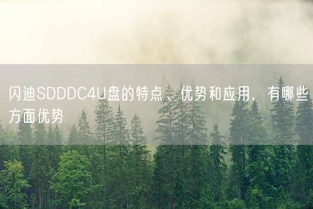 闪迪SDDDC4U盘的特点、优势和应用，有哪些方面优势