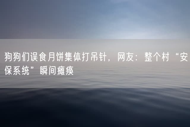 狗狗们误食月饼集体打吊针，网友：整个村“安保系统”瞬间瘫痪