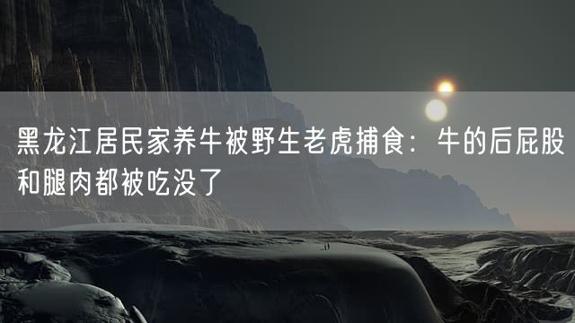 黑龙江居民家养牛被野生老虎捕食：牛的后屁股和腿肉都被吃没了