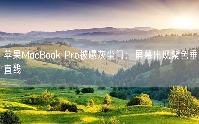 苹果MacBook Pro被曝灰尘门：屏幕出现紫色垂直线