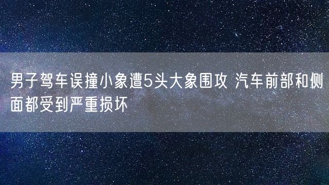 男子驾车误撞小象遭5头大象围攻 汽车前部和侧面都受到严重损坏