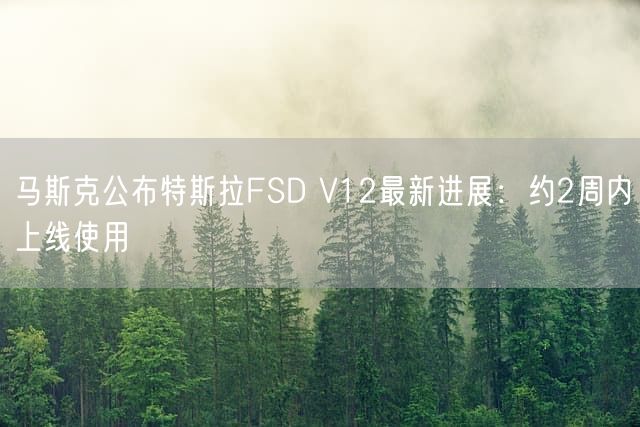 马斯克公布特斯拉FSD V12最新进展：约2周内上线使用