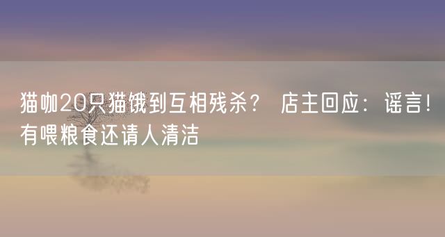 猫咖20只猫饿到互相残杀？ 店主回应：谣言！有喂粮食还请人清洁