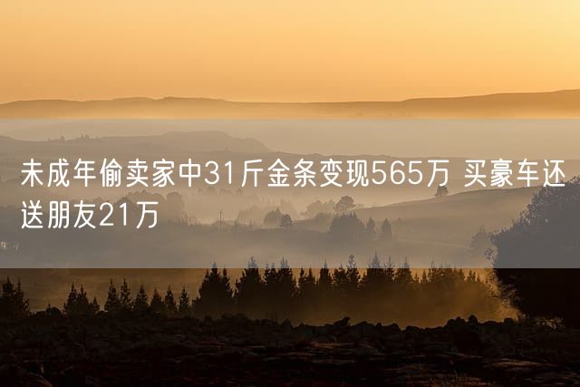 未成年偷卖家中31斤金条变现565万 买豪车还送朋友21万