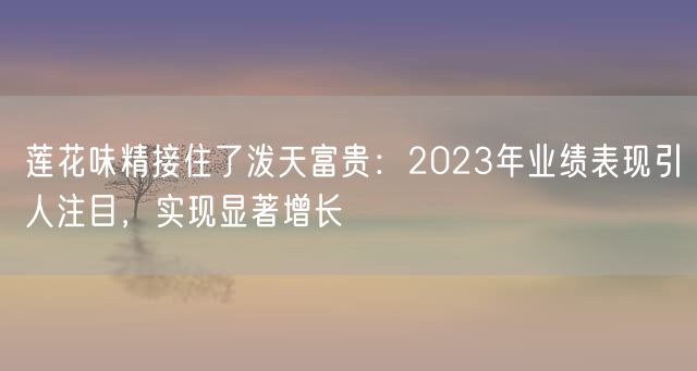 莲花味精接住了泼天富贵：2023年业绩表现引人注目，实现显著增长